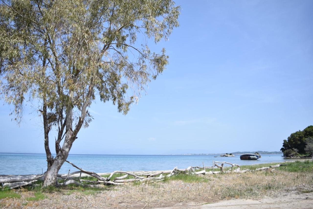 Corfu Seaview Maisonette - Sopra Il Mare Petrití エクステリア 写真